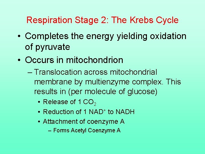 Respiration Stage 2: The Krebs Cycle • Completes the energy yielding oxidation of pyruvate