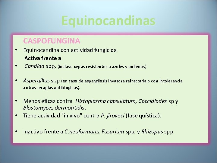 Equinocandinas CASPOFUNGINA • Equinocandina con actividad fungicida Activa frente a • Candida spp, (incluso