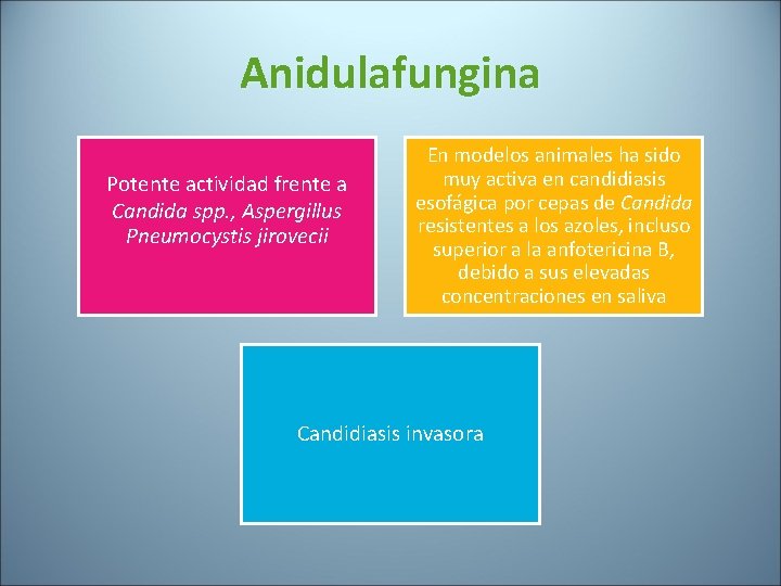 Anidulafungina Potente actividad frente a Candida spp. , Aspergillus Pneumocystis jirovecii En modelos animales