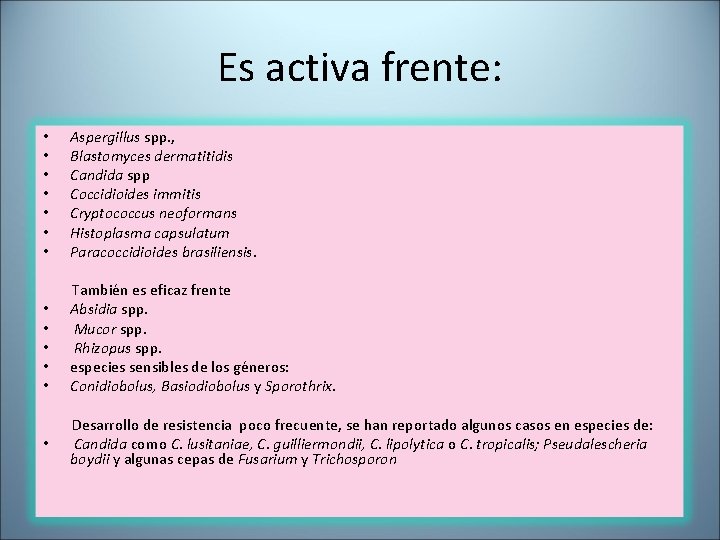 Es activa frente: • • Aspergillus spp. , Blastomyces dermatitidis Candida spp Coccidioides immitis