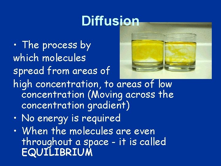 Diffusion • The process by which molecules spread from areas of high concentration, to