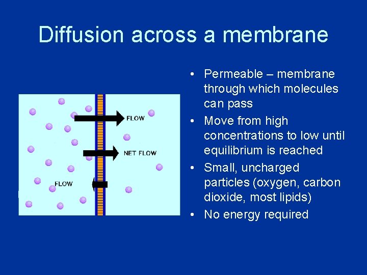 Diffusion across a membrane • Permeable – membrane through which molecules can pass •