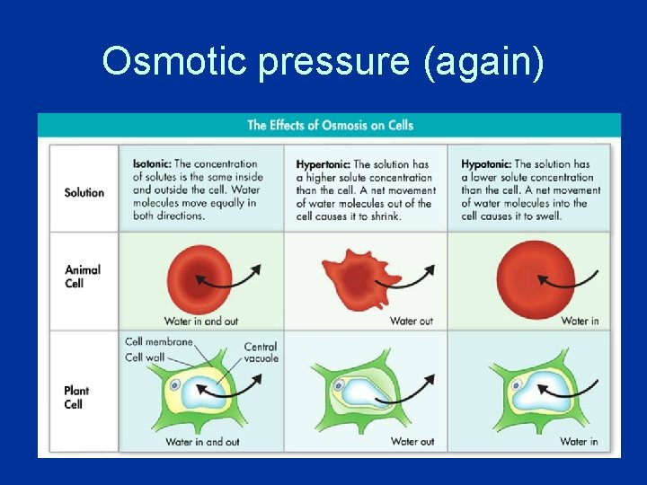 Osmotic pressure (again) 