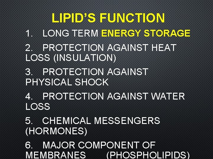 LIPID’S FUNCTION 1. LONG TERM ENERGY STORAGE 2. PROTECTION AGAINST HEAT LOSS (INSULATION) 3.