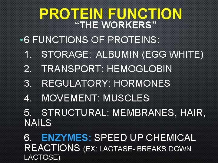 PROTEIN FUNCTION “THE WORKERS” • 6 FUNCTIONS OF PROTEINS: 1. 2. STORAGE: ALBUMIN (EGG