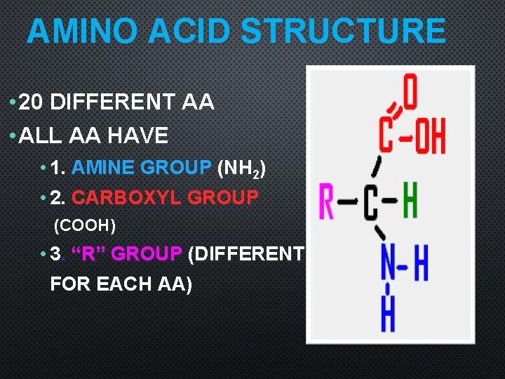 AMINO ACID STRUCTURE • 20 DIFFERENT AA • ALL AA HAVE • 1. AMINE