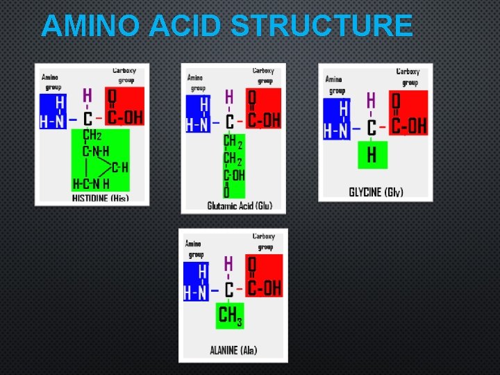 AMINO ACID STRUCTURE 