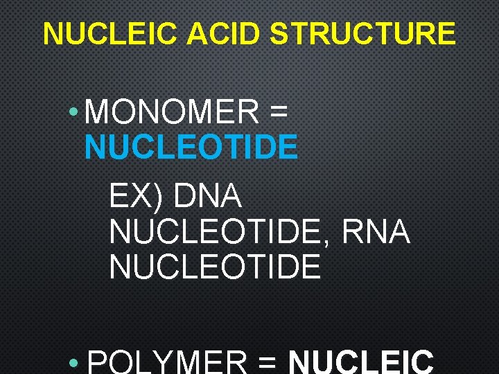 NUCLEIC ACID STRUCTURE • MONOMER = NUCLEOTIDE EX) DNA NUCLEOTIDE, RNA NUCLEOTIDE 