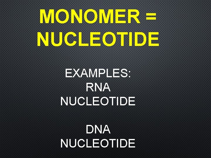 MONOMER = NUCLEOTIDE EXAMPLES: RNA NUCLEOTIDE DNA NUCLEOTIDE 