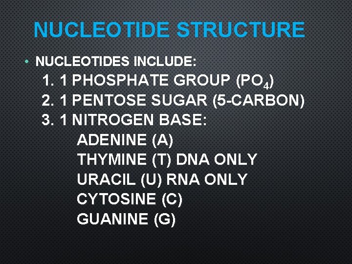 NUCLEOTIDE STRUCTURE • NUCLEOTIDES INCLUDE: 1. 1 PHOSPHATE GROUP (PO 4) 2. 1 PENTOSE