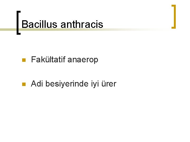 Bacillus anthracis n Fakültatif anaerop n Adi besiyerinde iyi ürer 
