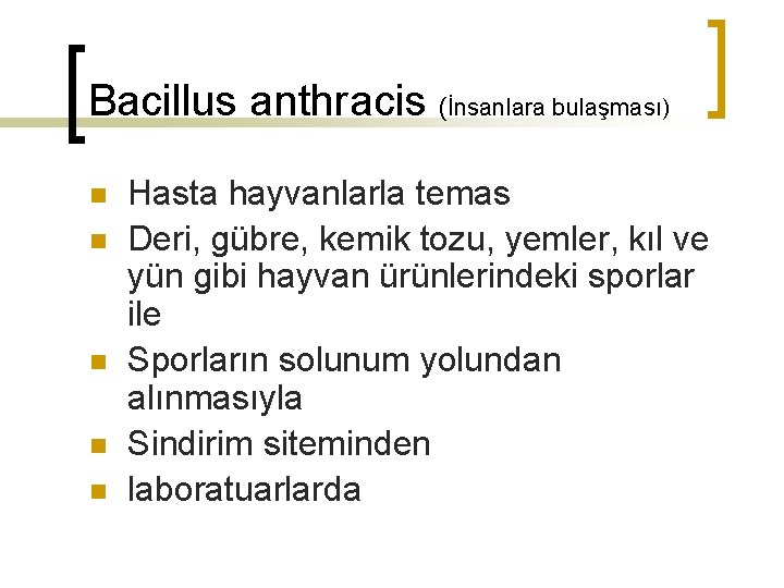 Bacillus anthracis (İnsanlara bulaşması) n n n Hasta hayvanlarla temas Deri, gübre, kemik tozu,