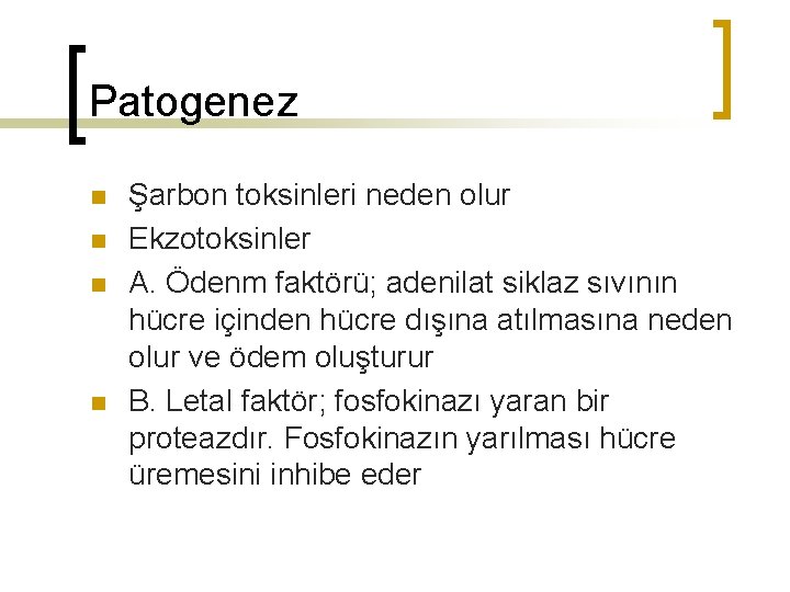 Patogenez n n Şarbon toksinleri neden olur Ekzotoksinler A. Ödenm faktörü; adenilat siklaz sıvının