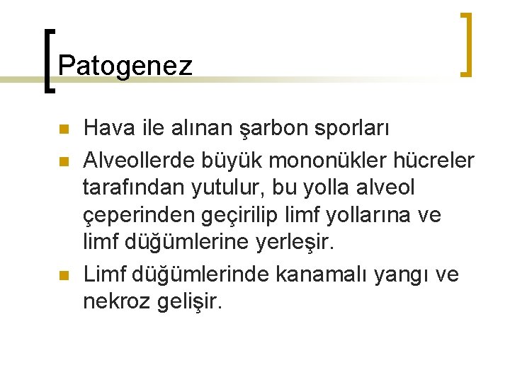 Patogenez n n n Hava ile alınan şarbon sporları Alveollerde büyük mononükler hücreler tarafından