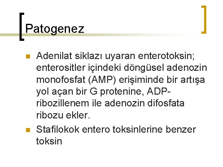 Patogenez n n Adenilat siklazı uyaran enterotoksin; enterositler içindeki döngüsel adenozin monofosfat (AMP) erişiminde