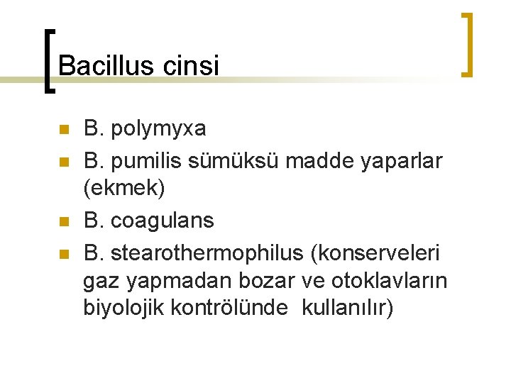 Bacillus cinsi n n B. polymyxa B. pumilis sümüksü madde yaparlar (ekmek) B. coagulans