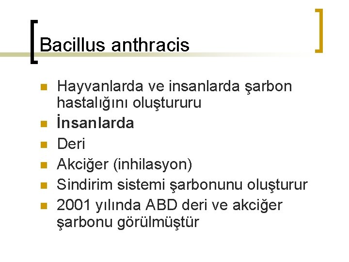 Bacillus anthracis n n n Hayvanlarda ve insanlarda şarbon hastalığını oluştururu İnsanlarda Deri Akciğer