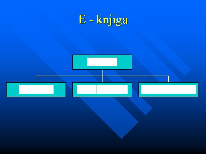 E - knjiga 