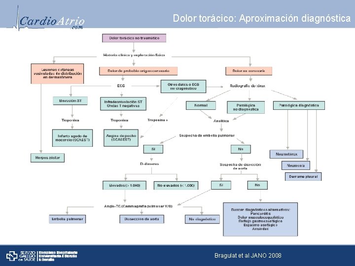 Dolor torácico: Aproximación diagnóstica Bragulat et al JANO 2008 