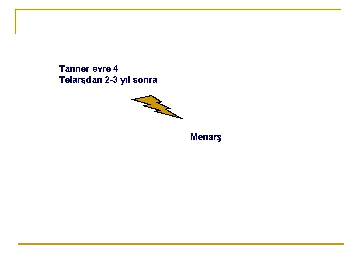 Tanner evre 4 Telarşdan 2 -3 yıl sonra Menarş 