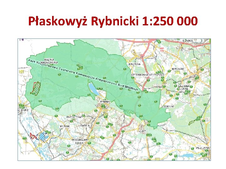 Płaskowyż Rybnicki 1: 250 000 