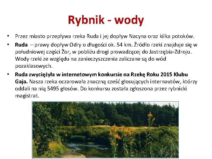 Rybnik - wody • Przez miasto przepływa rzeka Ruda i jej dopływ Nacyna oraz