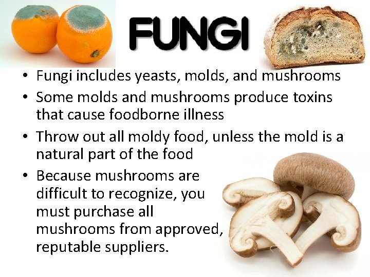  • Fungi includes yeasts, molds, and mushrooms • Some molds and mushrooms produce