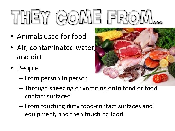  • Animals used for food • Air, contaminated water, and dirt • People
