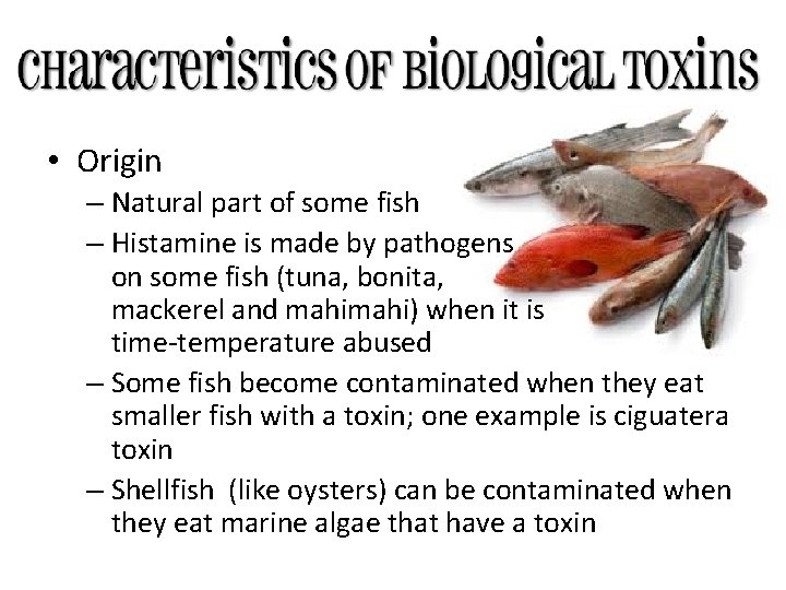  • Origin – Natural part of some fish – Histamine is made by