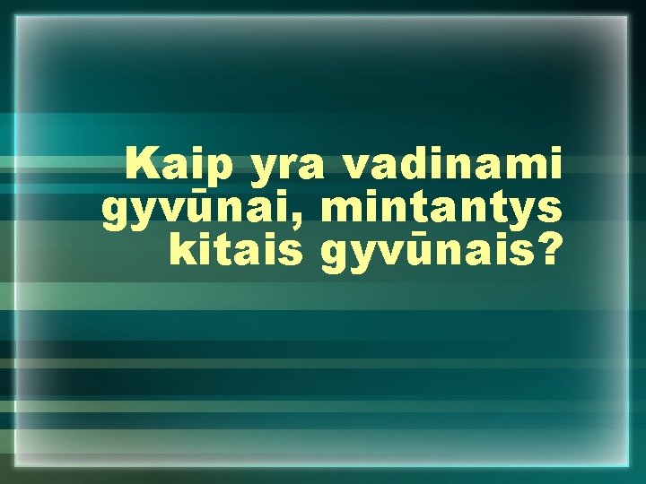 Kaip yra vadinami gyvūnai, mintantys kitais gyvūnais? 