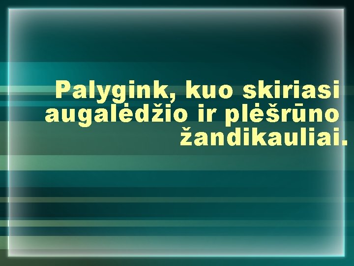 Palygink, kuo skiriasi augalėdžio ir plėšrūno žandikauliai. 