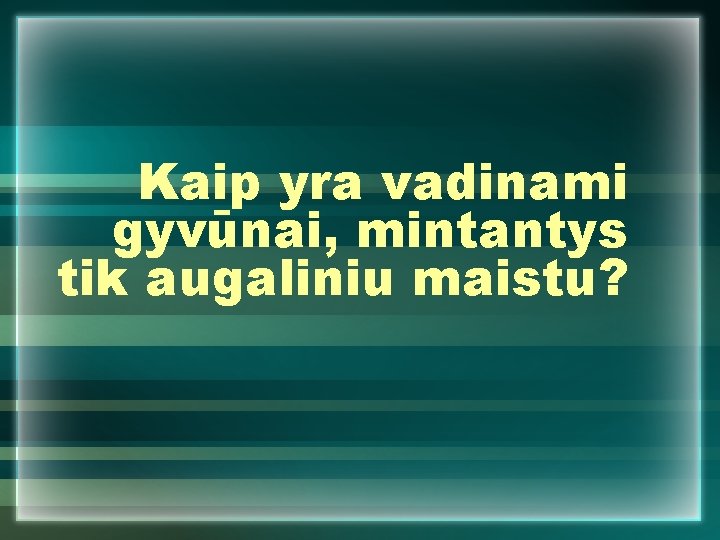 Kaip yra vadinami gyvūnai, mintantys tik augaliniu maistu? 