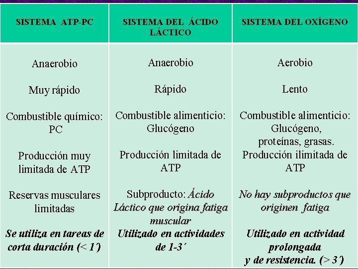 SISTEMA ATP-PC SISTEMA DEL ÁCIDO LÁCTICO SISTEMA DEL OXÍGENO Anaerobio Rápido Lento Muy rápido