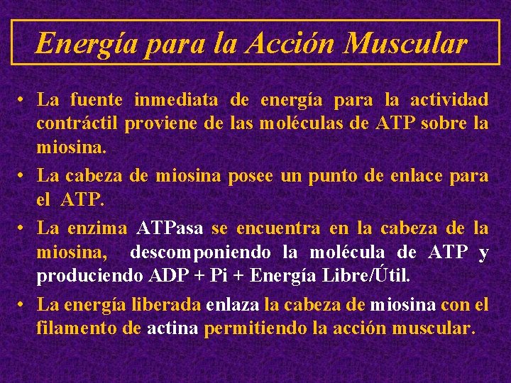 Energía para la Acción Muscular • La fuente inmediata de energía para la actividad