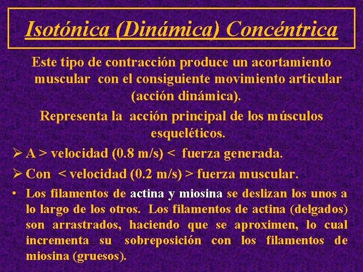 Isotónica (Dinámica) Concéntrica Este tipo de contracción produce un acortamiento muscular con el consiguiente
