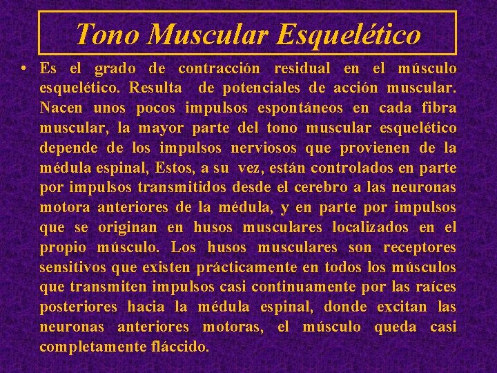 Tono Muscular Esquelético • Es el grado de contracción residual en el músculo esquelético.