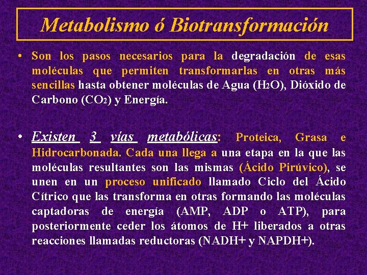Metabolismo ó Biotransformación • Son los pasos necesarios para la degradación de esas moléculas