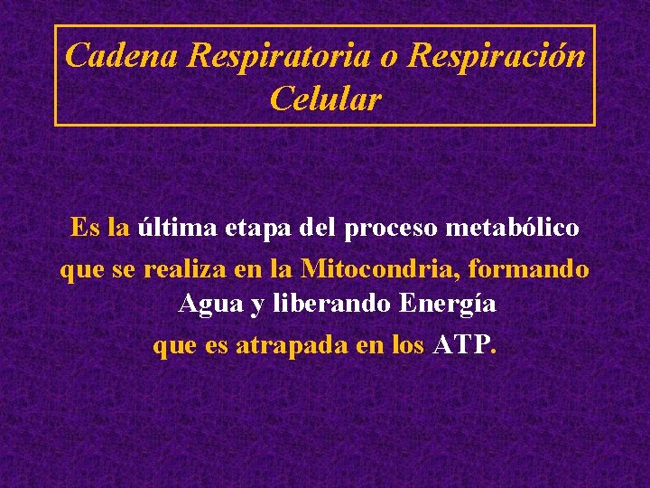Cadena Respiratoria o Respiración Celular Es la última etapa del proceso metabólico que se