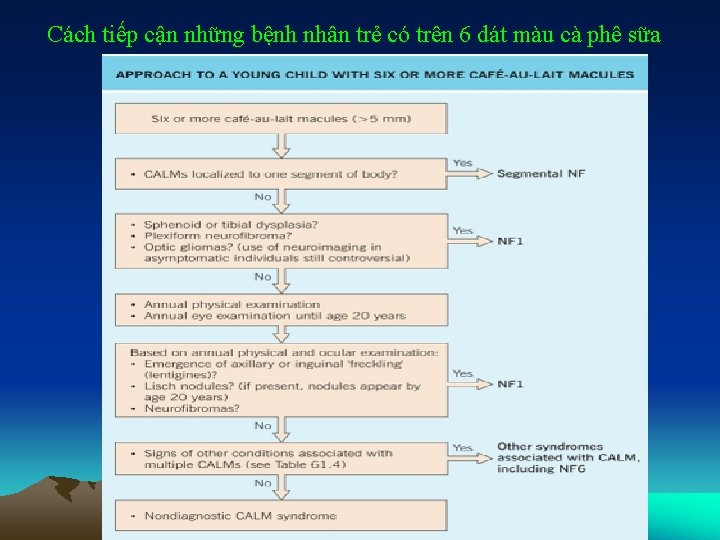 Cách tiếp cận những bệnh nhân trẻ có trên 6 dát màu cà phê