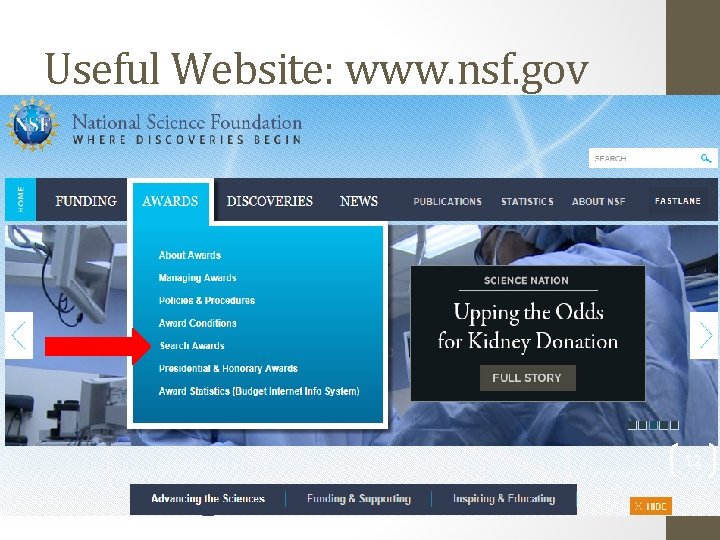 Useful Website: www. nsf. gov 12 