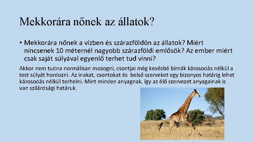 Mekkorára nőnek az állatok? • Mekkorára nőnek a vízben és szárazföldön az állatok? Miért