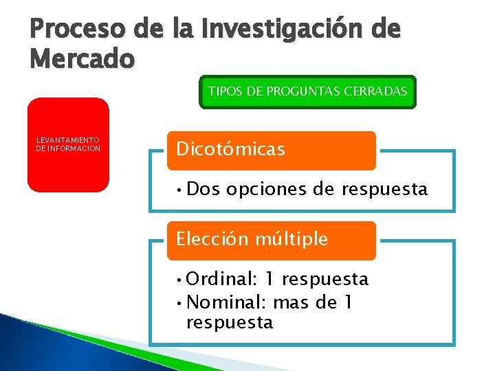 Proceso de la Investigación de Mercado TIPOS DE PROGUNTAS CERRADAS LEVANTAMIENTO DE INFORMACION Dicotómicas