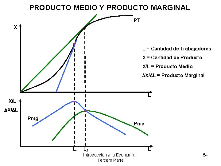 PRODUCTO MEDIO Y PRODUCTO MARGINAL PT X L = Cantidad de Trabajadores X =