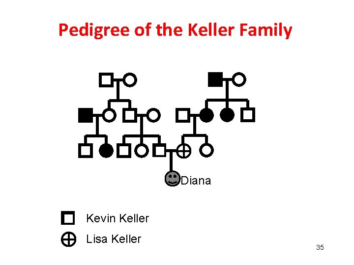 Pedigree of the Keller Family Diana Kevin Keller Lisa Keller 35 