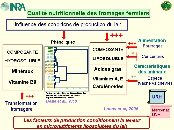 Qualité nutritionnelle des fromages fermiers Influence des conditions de production du lait +++ Phénoliques