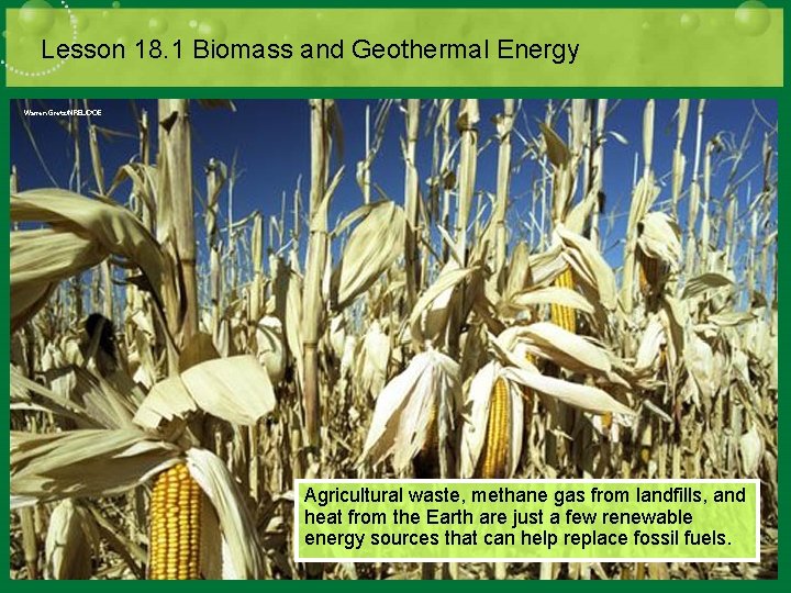 Lesson 18. 1 Biomass and Geothermal Energy Agricultural waste, methane gas from landfills, and