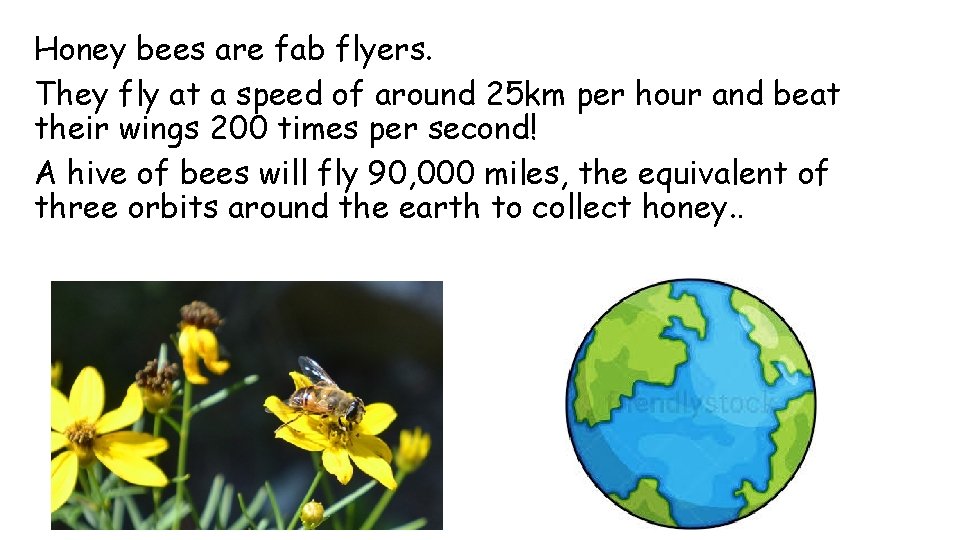Honey bees are fab flyers. They fly at a speed of around 25 km Honey bees are fab flyers. They fly at a speed of around 25 km