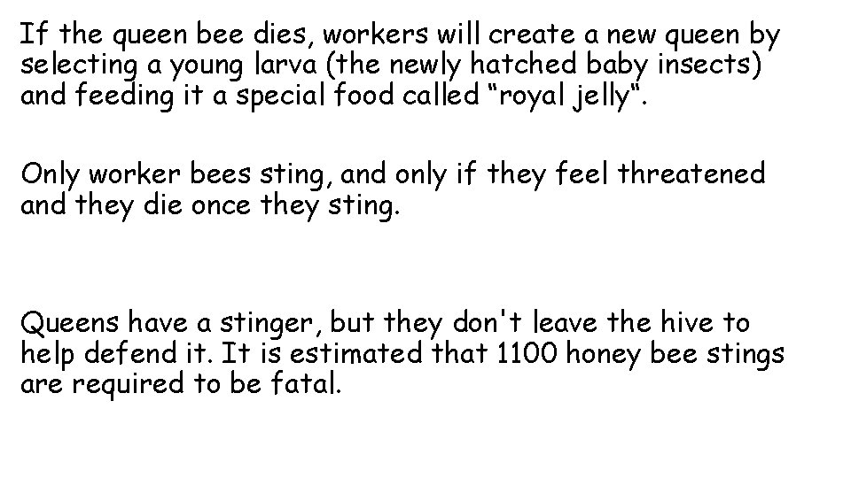 If the queen bee dies, workers will create a new queen by selecting a If the queen bee dies, workers will create a new queen by selecting a