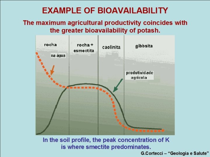 EXAMPLE OF BIOAVAILABILITY The maximum agricultural productivity coincides with the greater bioavailability of potash.