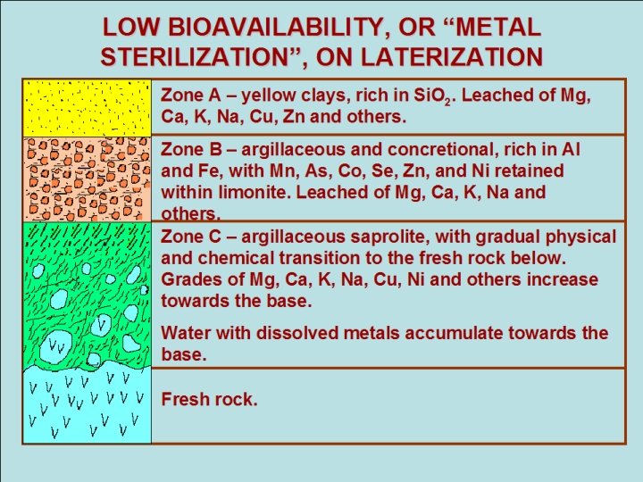 LOW BIOAVAILABILITY, OR “METAL STERILIZATION”, ON LATERIZATION Zone A – yellow clays, rich in